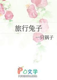 <旅行者[综影视