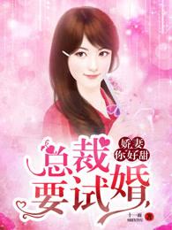 总裁要复婚得间
