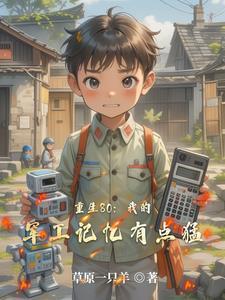 重生80之军嫂有点甜
