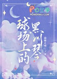 排球少年灰黑