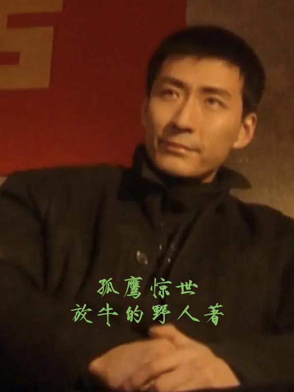 孤鹰的意思