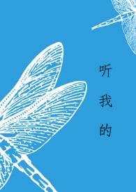 听我的flow