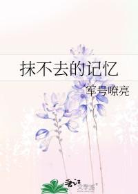 抹不去的回忆歌曲