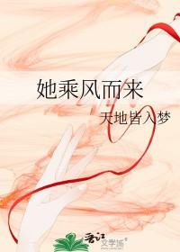 八千里路云和月乘风而来什么歌