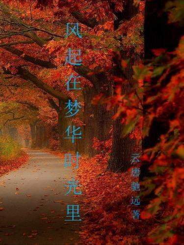 歌曲风起时歌词