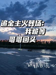 金主受追妻火葬场