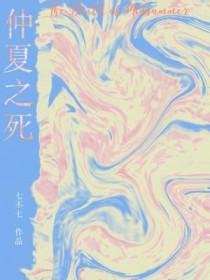 仲夏之死讲了什么