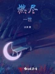 燃尽爱意免费阅读