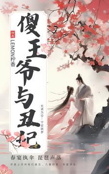 傻王爷王妃