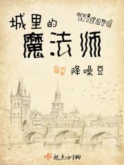 城市的魔术师