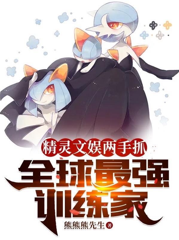 精灵我是训练家飞卢