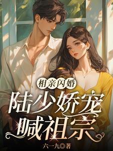 闪婚后豪门大佬又宠又撩