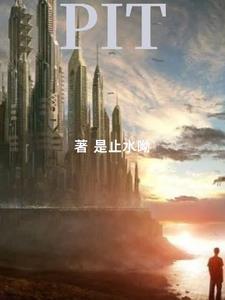 皮套是什么意思